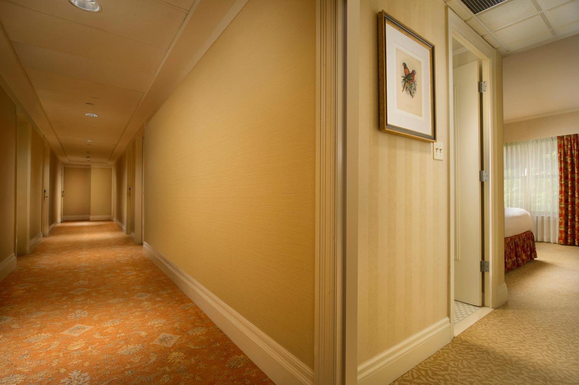 Queen Room,1210853650:JPEG